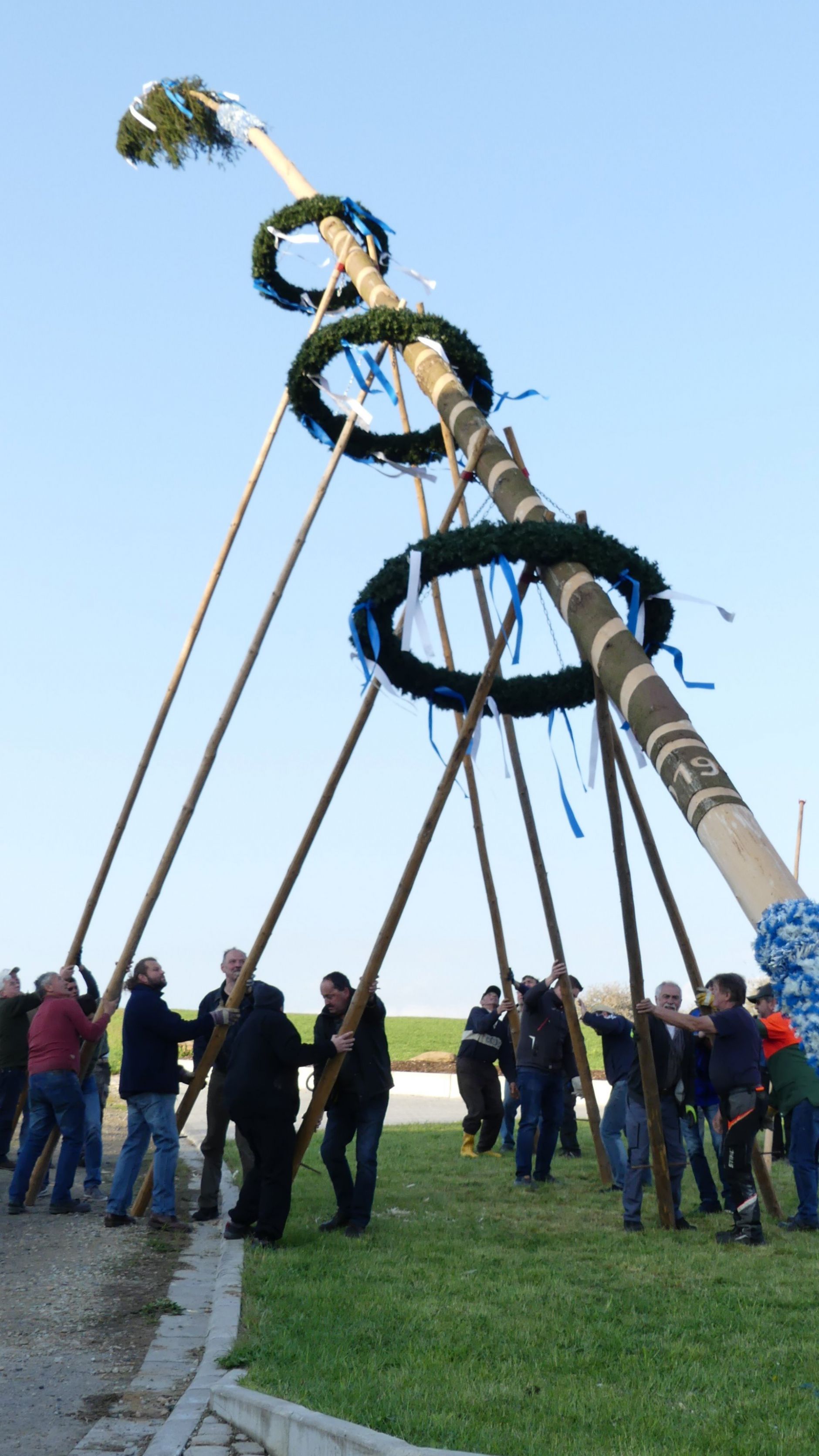 30 Meter Maibaum Steht   Maibaum Ffw Breitenried 5dc9d9525d652d0g0cecf02da0cd67cd@2x.JPG